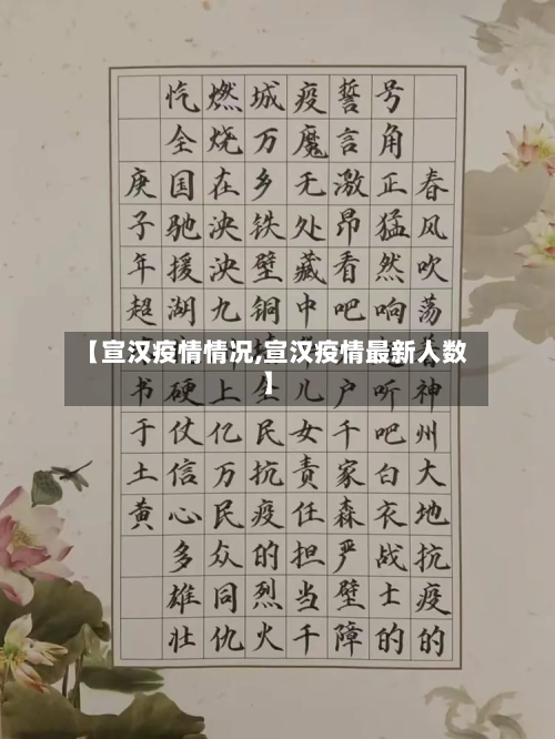 【宣汉疫情情况,宣汉疫情最新人数】-第1张图片