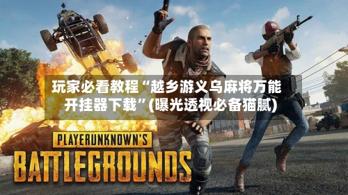 玩家必看教程“越乡游义乌麻将万能开挂器下载”(曝光透视必备猫腻)-第3张图片