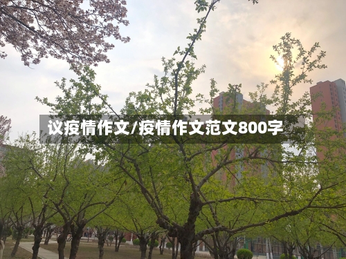 议疫情作文/疫情作文范文800字-第2张图片