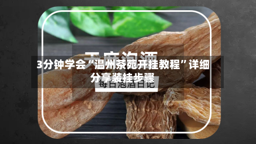 3分钟学会“温州茶苑开挂教程”详细分享装挂步骤-第1张图片
