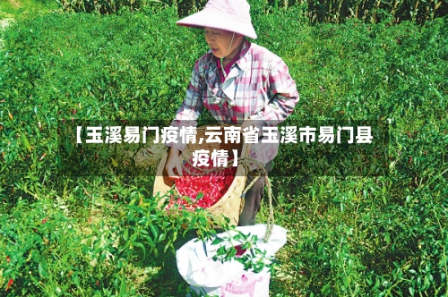 【玉溪易门疫情,云南省玉溪市易门县疫情】-第2张图片