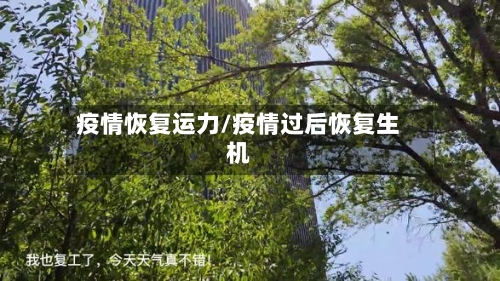 疫情恢复运力/疫情过后恢复生机-第1张图片