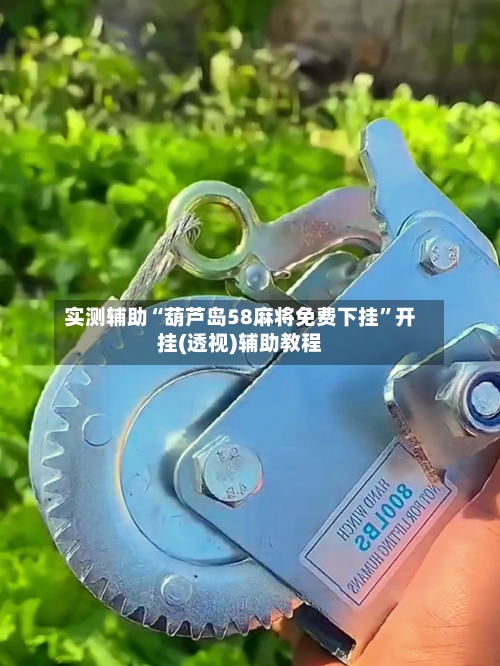 实测辅助“葫芦岛58麻将免费下挂”开挂(透视)辅助教程-第1张图片