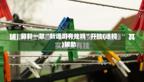 最新一款“新道游有挂吗”开挂(透视)辅助-第2张图片