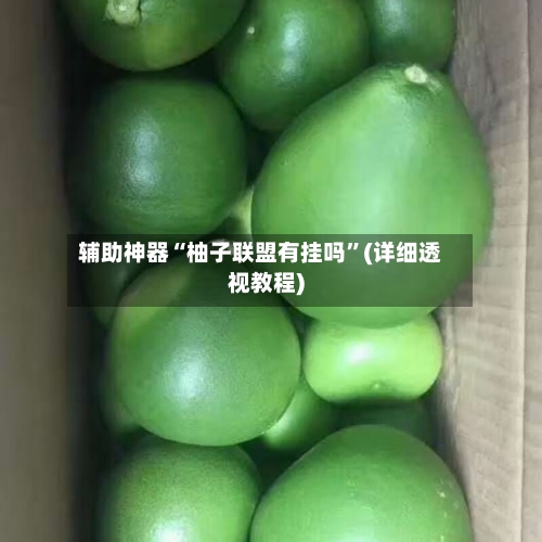 辅助神器“柚子联盟有挂吗”(详细透视教程)-第1张图片