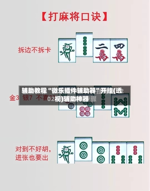 辅助教程“微乐插件辅助器”开挂(透视)辅助神器-第1张图片