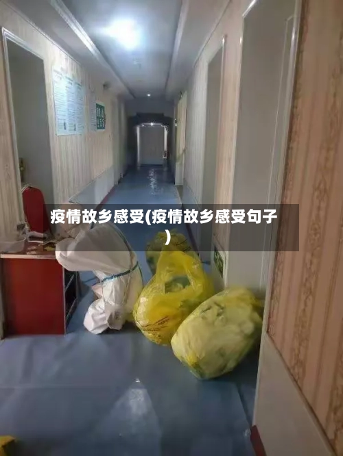 疫情故乡感受(疫情故乡感受句子)-第1张图片