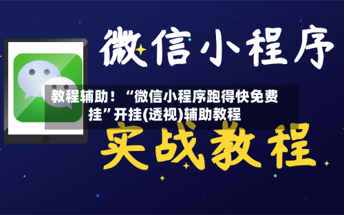 教程辅助！“微信小程序跑得快免费挂”开挂(透视)辅助教程-第2张图片