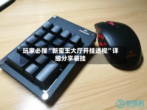 玩家必搜“新蛮王大厅开挂透视”详细分享装挂-第2张图片