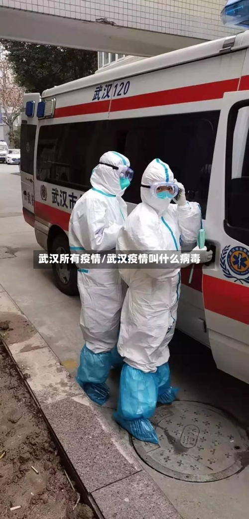 武汉所有疫情/武汉疫情叫什么病毒-第3张图片