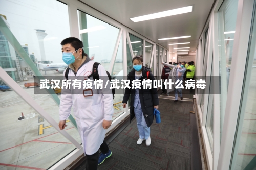 武汉所有疫情/武汉疫情叫什么病毒-第1张图片