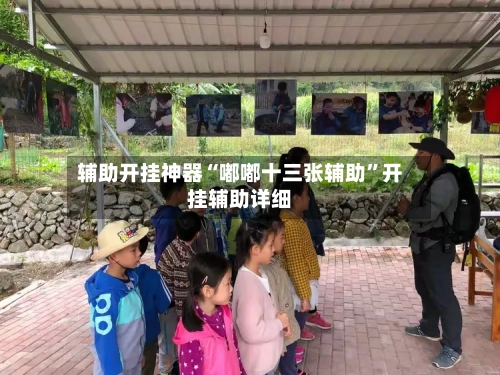 辅助开挂神器“嘟嘟十三张辅助	”开挂辅助详细-第1张图片