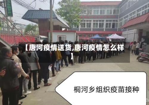 【唐河疫情送货,唐河疫情怎么样】-第1张图片