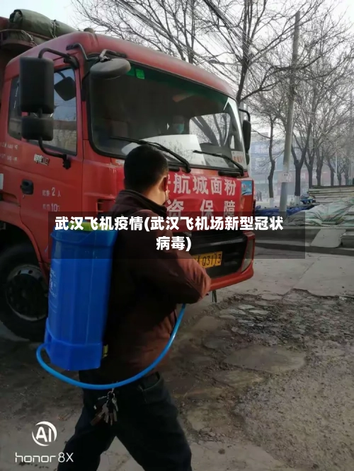 武汉飞机疫情(武汉飞机场新型冠状病毒)-第1张图片