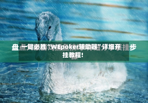 一键必胜“WEpoker辅助器	”详细开挂教程!-第1张图片