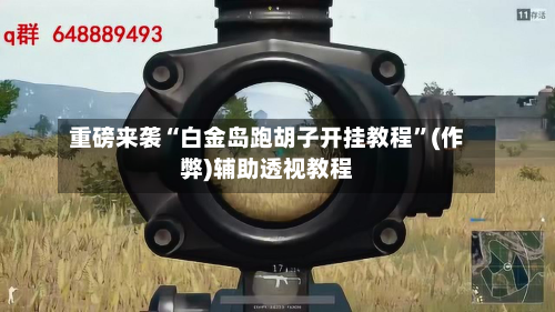 重磅来袭“白金岛跑胡子开挂教程	”(作弊)辅助透视教程-第1张图片