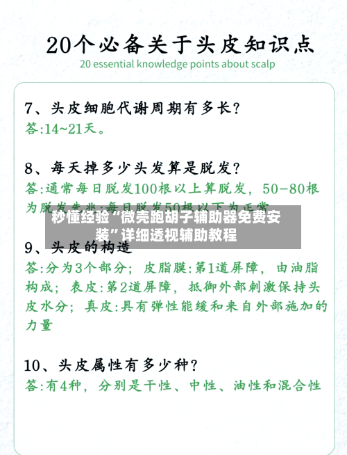 秒懂经验“微壳跑胡子辅助器免费安装	”详细透视辅助教程-第1张图片