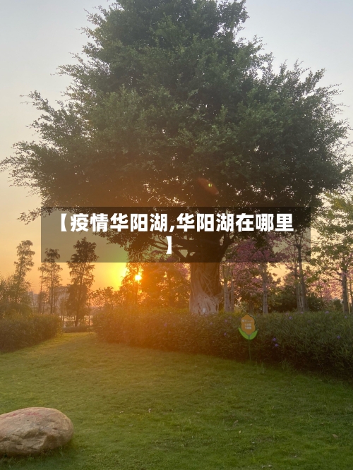【疫情华阳湖,华阳湖在哪里】-第1张图片