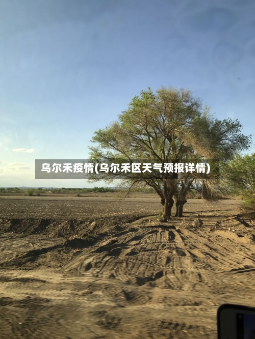 乌尔禾疫情(乌尔禾区天气预报详情)-第1张图片