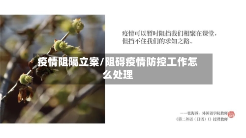 疫情阻隔立案/阻碍疫情防控工作怎么处理-第1张图片