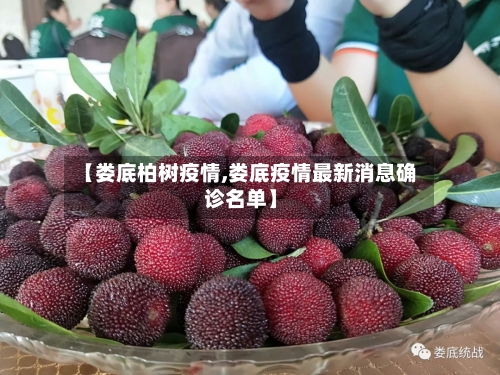【娄底柏树疫情,娄底疫情最新消息确诊名单】-第1张图片
