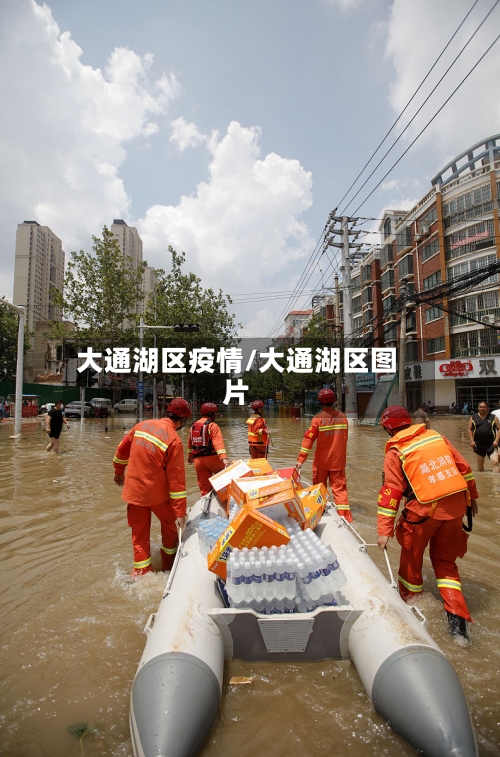 大通湖区疫情/大通湖区图片-第1张图片