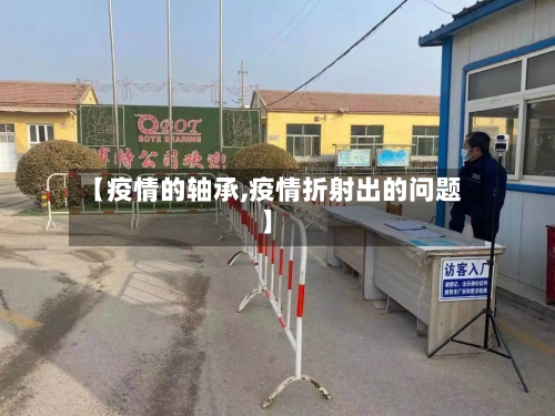 【疫情的轴承,疫情折射出的问题】-第3张图片