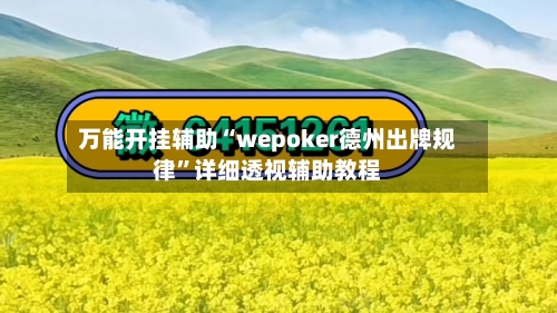 万能开挂辅助“wepoker德州出牌规律”详细透视辅助教程-第1张图片