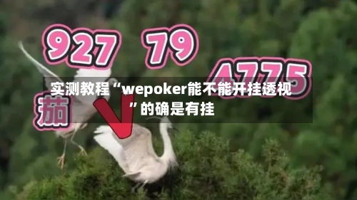 实测教程“wepoker能不能开挂透视	”的确是有挂-第1张图片