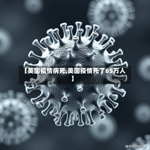 【美国疫情病死,美国疫情死了65万人】-第2张图片