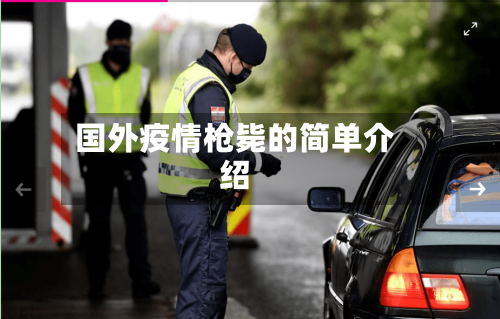 国外疫情枪毙的简单介绍-第1张图片