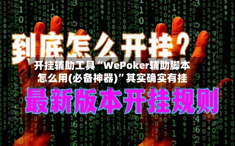 开挂辅助工具“WePoker辅助脚本怎么用(必备神器)”其实确实有挂-第1张图片