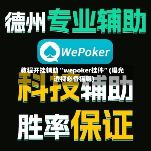 教程开挂辅助“wepoker挂件	”(曝光透视必备猫腻)-第1张图片
