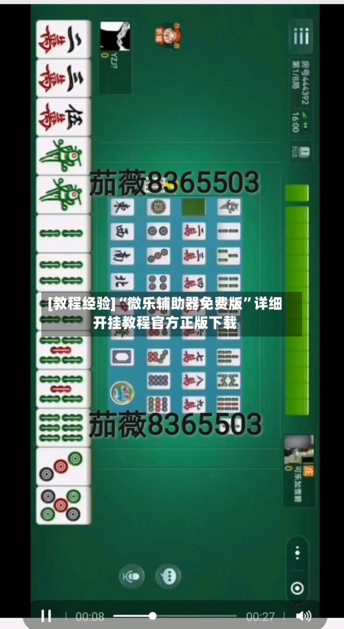 [教程经验]“微乐辅助器免费版”详细开挂教程官方正版下载-第1张图片