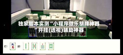独家脚本实测“小程序微乐胡牌神器	”开挂(透视)辅助神器-第1张图片