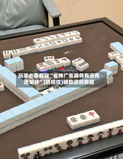玩家必看教程“雀神广东麻将有没有透明挂”(透视挂)辅助透视教程-第2张图片