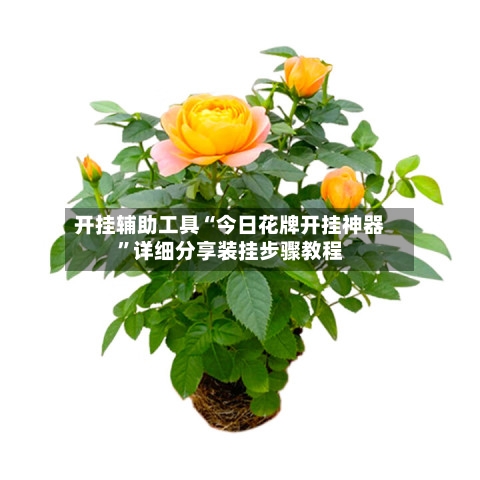开挂辅助工具“今日花牌开挂神器”详细分享装挂步骤教程-第1张图片