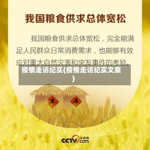 疫情走访纪实(疫情走访纪实文案)-第1张图片