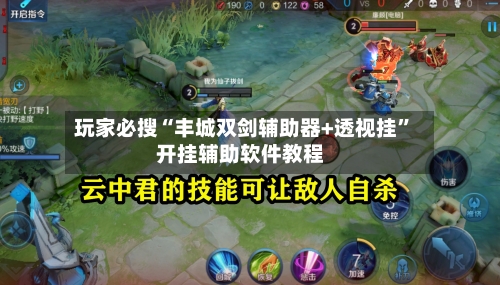 玩家必搜“丰城双剑辅助器+透视挂	”开挂辅助软件教程-第2张图片