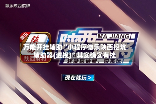 万能开挂辅助“小程序微乐陕西挖坑辅助器(透视)”其实确实有挂-第2张图片
