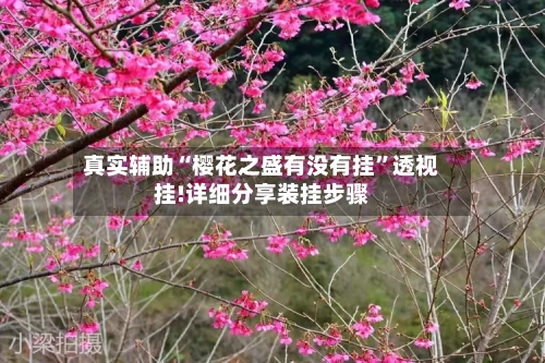 真实辅助“樱花之盛有没有挂	”透视挂!详细分享装挂步骤-第1张图片
