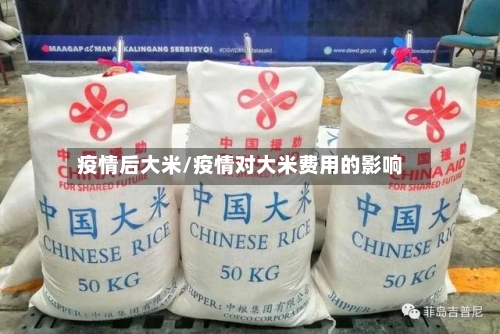 疫情后大米/疫情对大米费用的影响-第3张图片