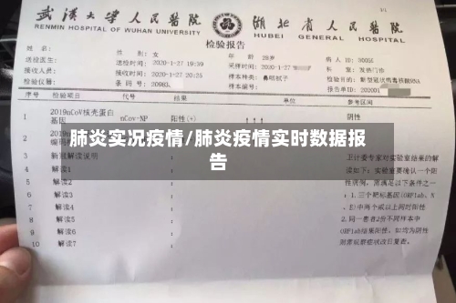 肺炎实况疫情/肺炎疫情实时数据报告-第2张图片