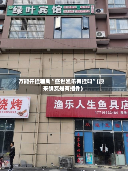 万能开挂辅助“盛世渔乐有挂吗”(原来确实是有插件)-第3张图片