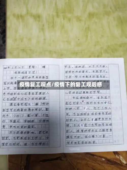 疫情复工观点/疫情下的复工观后感-第2张图片