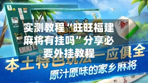 实测教程“旺旺福建麻将有挂吗	”分享必要外挂教程-第1张图片