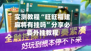 实测教程“旺旺福建麻将有挂吗”分享必要外挂教程-第3张图片