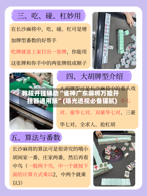 教程开挂辅助“雀神广东麻将万能开挂器通用版”(曝光透视必备猫腻)-第2张图片