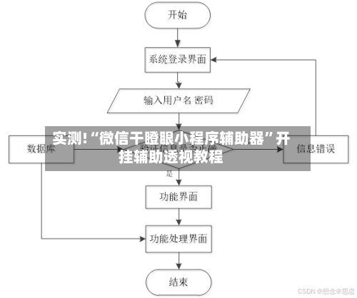 实测!“微信干瞪眼小程序辅助器”开挂辅助透视教程-第1张图片