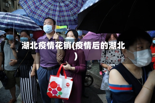 湖北疫情花销(疫情后的湖北)-第2张图片
